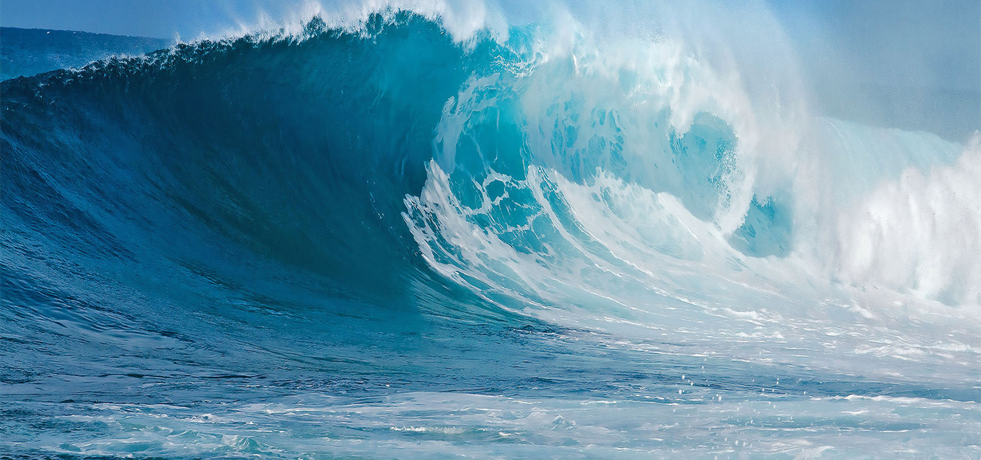 元含万象、、万象suncitygroup太阳集团